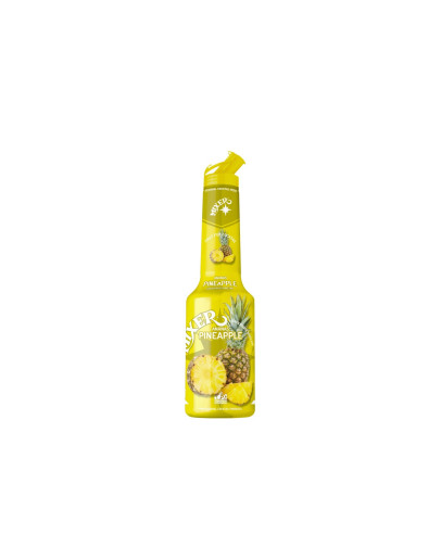 Mixer Sciroppo Ananas Concentrato