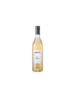 Liquore Briottet Albicocca