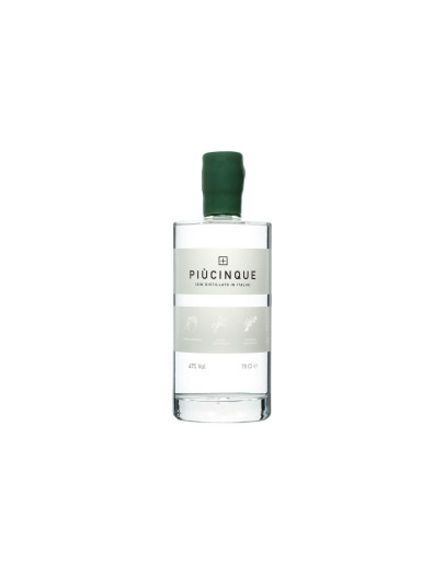 Gin Più Cinque