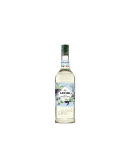 Giffard Sciroppo di zucchero di Canna