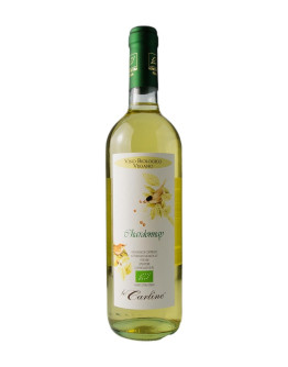 LE CARLINE CHARDONNAY VENETO ORIENTALE 2024