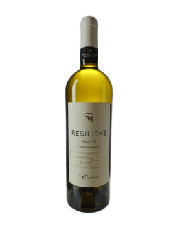 LE CARLINE BIANCO RESILIENS