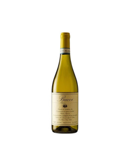 Bucci Verdicchio dei Castelli di Jesi 2023 75 cl