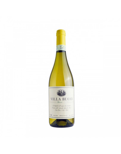 Bucci Verdicchio Villa B. Riserva Docg Jesi