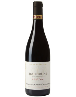 Bourgogne Pinot Noir 2024 - Cote d'or