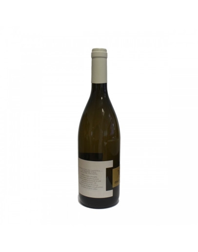 Malvasia igp
