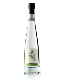 6 Grappa Nosiola -Pilzer Vitigno