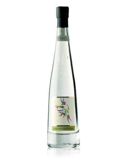 6 Grappa Muller Thurgau  -Pilzer Vitigno 70 cl