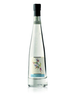 6 Grappa Pinot Nero  -Pilzer Vitigno