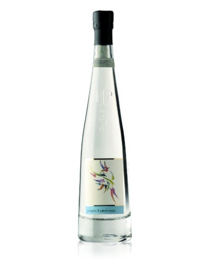 6 Grappa Pinot Nero  -Pilzer Vitigno 70 cl