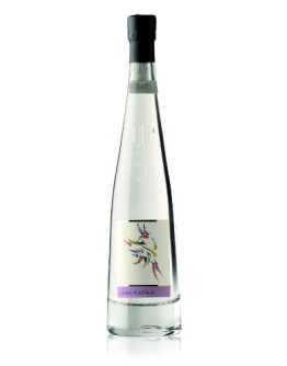 6 Grappa Schiava-Pilzer Vitigno