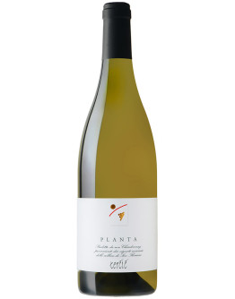 Chardonnay igt 2020 - Planta
