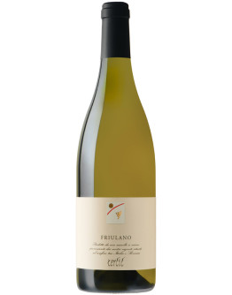Friulano doc 2019