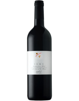 Merlot doc 2018 - Seme