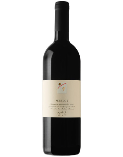 Merlot doc 2020