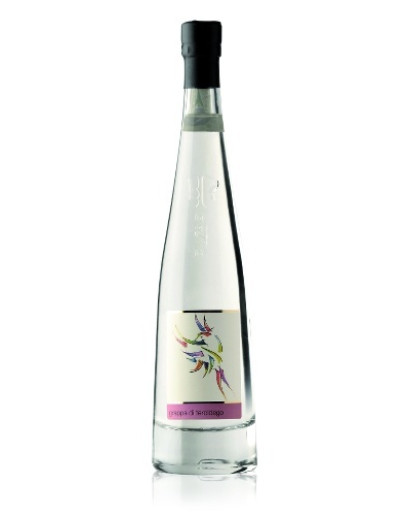 6 Grappa Teroldego -Pilzer Vitigno 70 cl