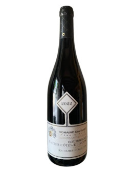 Borgogna Hautes Cotes De Nuits 2022 Domaine Gavignet