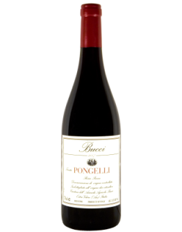 Bucci Rosso Piceno Tenuta Pongelli