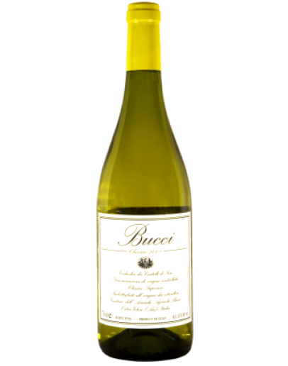 Bucci Verdicchio Castelli Di Jesi