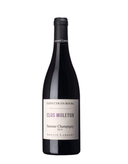 Clos Moleton St-Cyr Saumur Champigny 2015