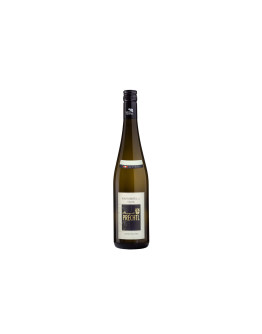 Prechtl Weinviertel Dac Classic Grüner Veltliner 2024