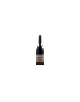 Domaine de la Roche Paradis Collines Rhodaniennes Igp Syrah 2024