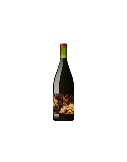 Bakkanali Toscana Rosso Igt Sangiovese 2024