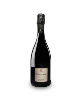 Fiorini Lambrusco Grasparossa Terre Al Sole 2019