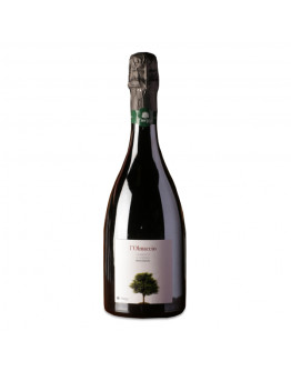 Fiorini Lambrusco Sorbara L'Olmaccio Biologico 2020