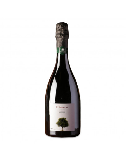 Fiorini Lambrusco Sorbara L'Olmaccio Biologico 2020