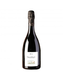 Fiorini Lambrusco Vigna del Padre