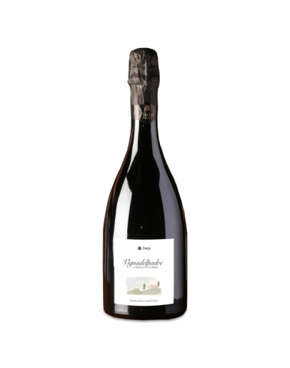 Fiorini Lambrusco Vigna del Padre