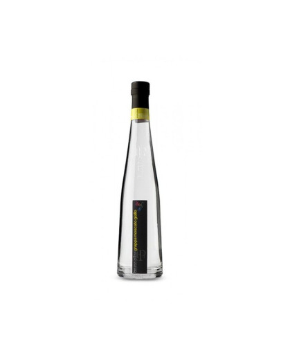 6 Grappa Moscato Giallo-Pilzer Vitigno 70 cl