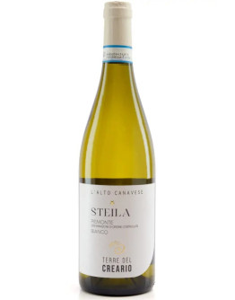 Piemonte DOC Bianco Steila 2023 Terre Del Creario