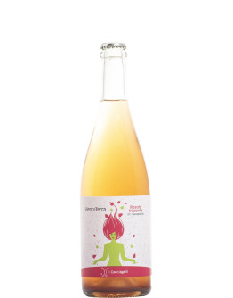 Vient'e Terra Rosato Frizzante 2019