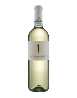 6 Colli Euganei Bianco doc Biologico - 1