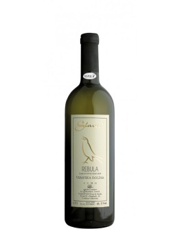 Ribolla 2023