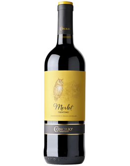 6 Merlot Trentino D.O.C