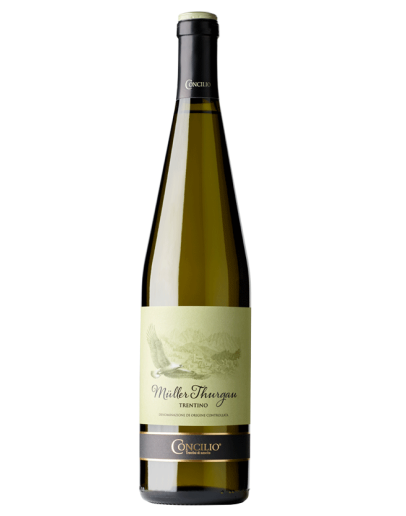 6 Muller Thurgau Trentino D.O.C