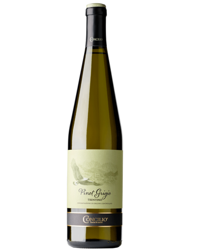 6 Pinot Grigio Trentino D.O.C