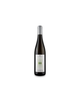 Martini & Sohn Alto Adige Müller-Thurgau Doc 2024