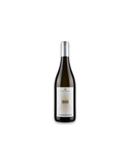 Martini & Sohn Vigneti delle Dolomiti Bianco Igt Chardonnay 2024