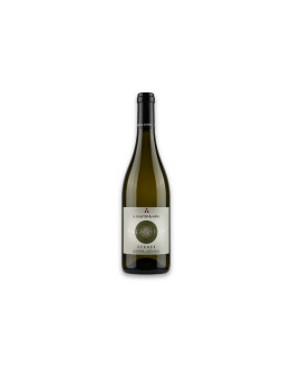 Martini & Sohn Alto Adige Valle d'Isarco Doc Kerner Palladium 2025