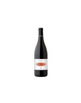 Martini & Sohn Alto Adige Lagrein Doc 2024