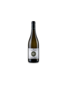 Martini & Sohn Alto Adige Sauvignon Doc Palladium 2025