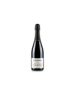 Colesel Vino Spumante di Qualità Metodo Classico Mass de Mura 601 Extra Brut 2022