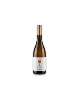 Fina Terre Siciliane Bianco Igt Fiorente Catarratto 2024
