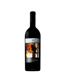 Barolo docg 2013- Sant'Anna