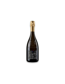 Ottella Vino Spumante di Qualità Metodo Classico Blanc de Blancs Brut Sans Année