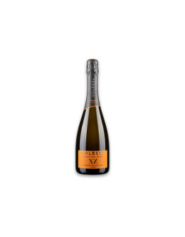 Colesel Valdobbiadene Superiore di Cartizze Docg Pentagono 69 XX Brut 2025